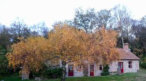 GÎTE DU VIEUX CHÊNE, Toulx-Sainte-Croix - photo 13