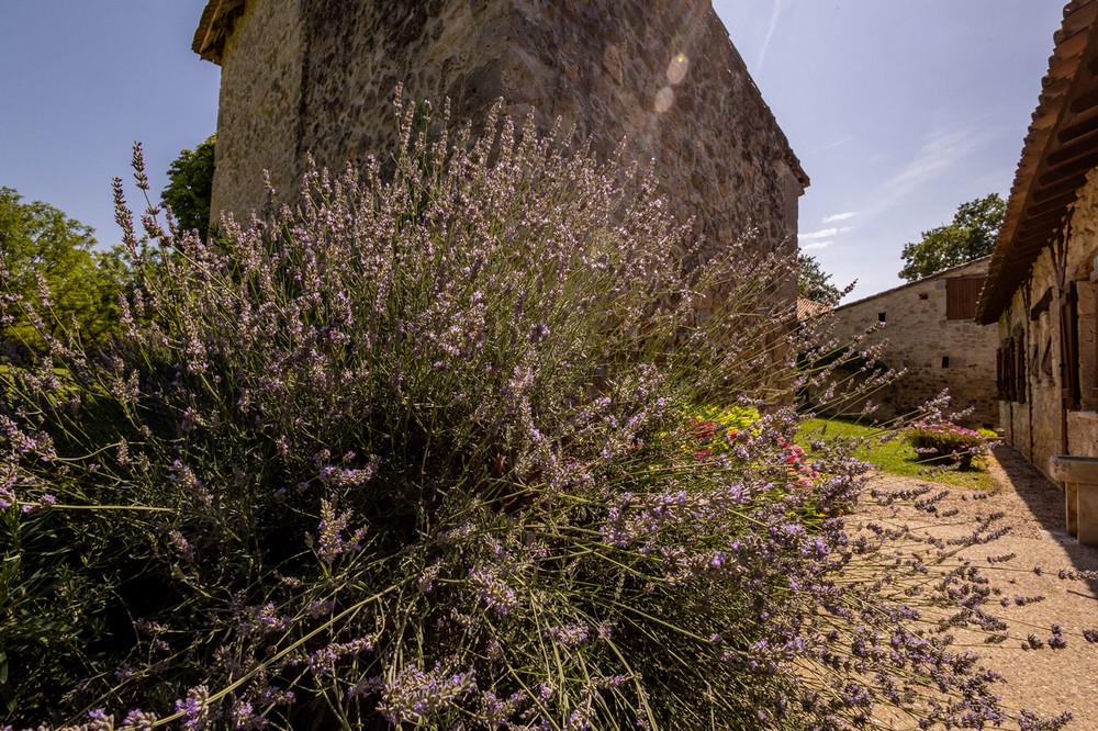 Gîte de Pehillo - La Sapinière, Nérac - photo 26