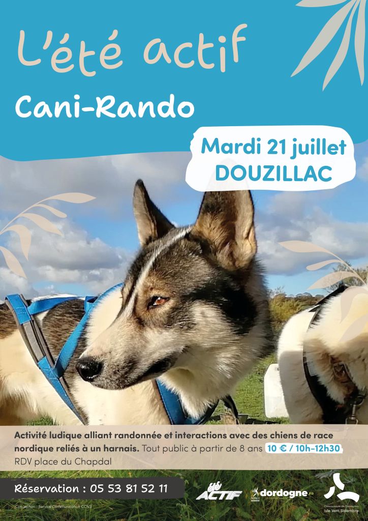 Été actif : Cani-rando — visuel événement