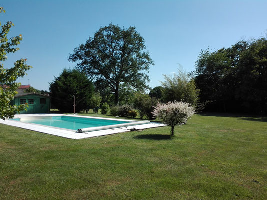 La Mousselade - photo 5