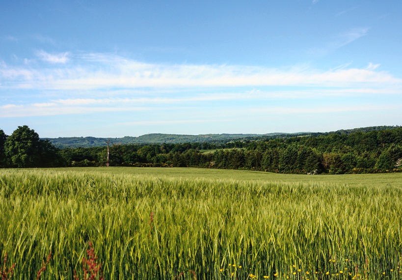 Les Monts de Blond, Blond - photo 5