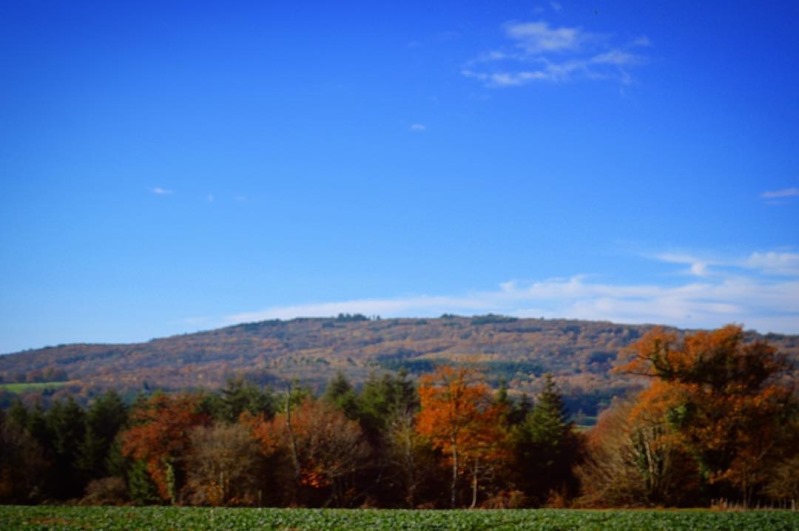 Les Monts de Blond, Blond - photo 4