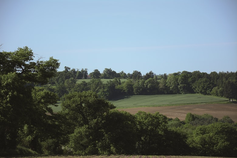 Les Monts de Blond, Blond - photo 2