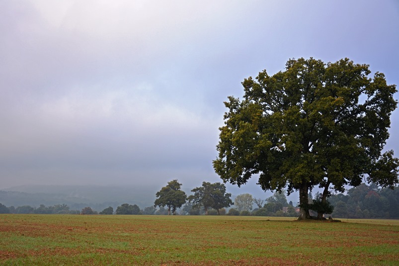 Les Monts de Blond, Blond - photo 3