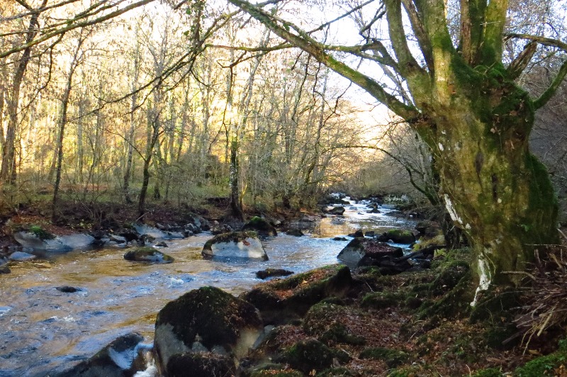 Balade au Saut de la Brame, Val-d'Oire-et-Gartempe - photo 3