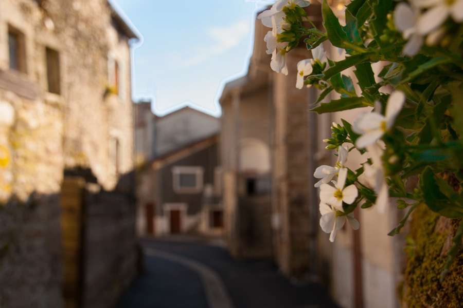 Châteauponsac, Perle de la Gartempe, Châteauponsac