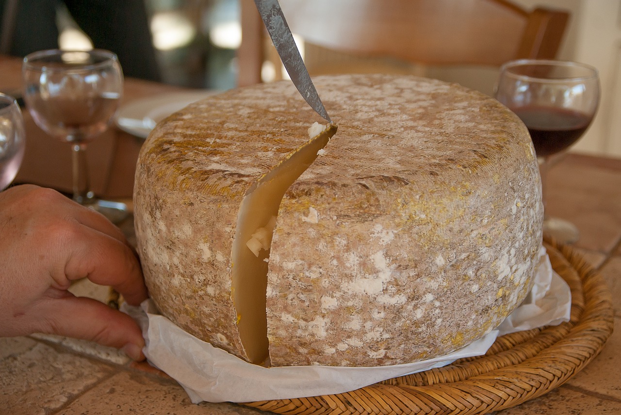 EARL Terres de Ciel - légumes, œufs, fromage de brebis en biodynamie — photo 3