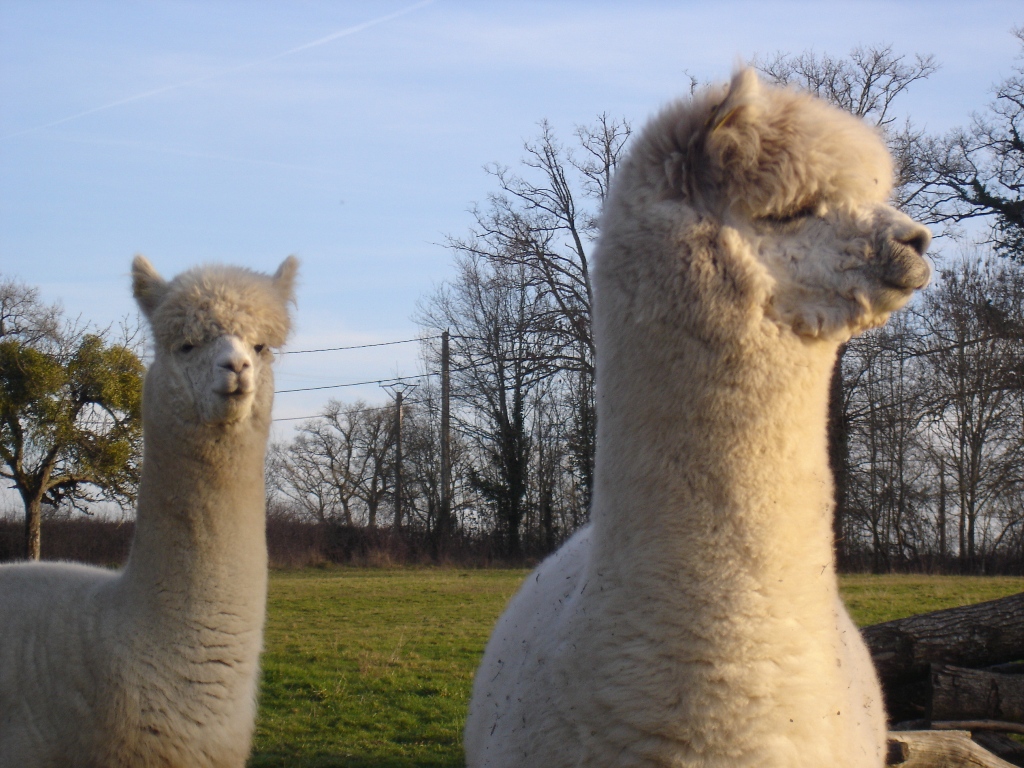 Lazy Days, Rancon - photo 6