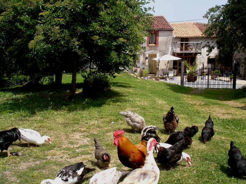 Lazy Days, Rancon - photo 2