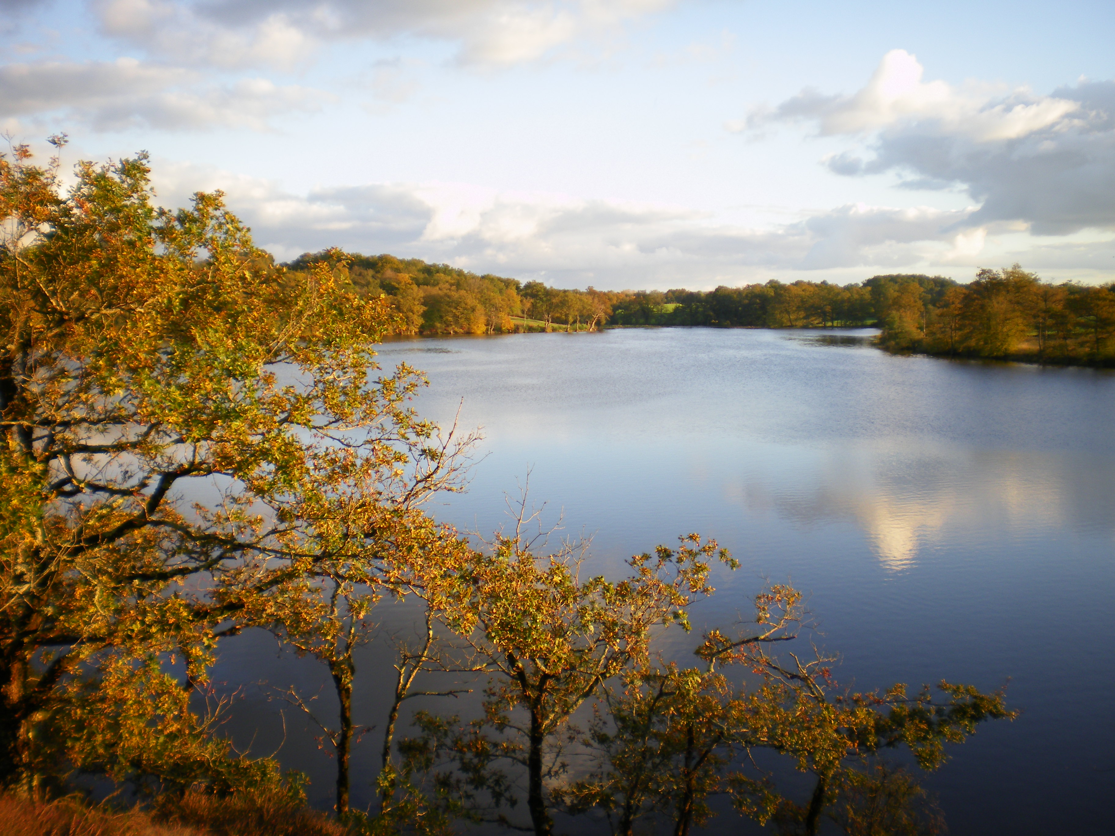 L'étang de Murat, observatoire ornithologique, Saint-Léger-Magnazeix - photo 5