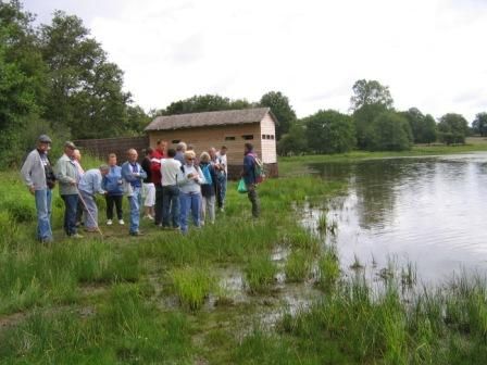 L'étang de Murat, observatoire ornithologique, Saint-Léger-Magnazeix - photo 2