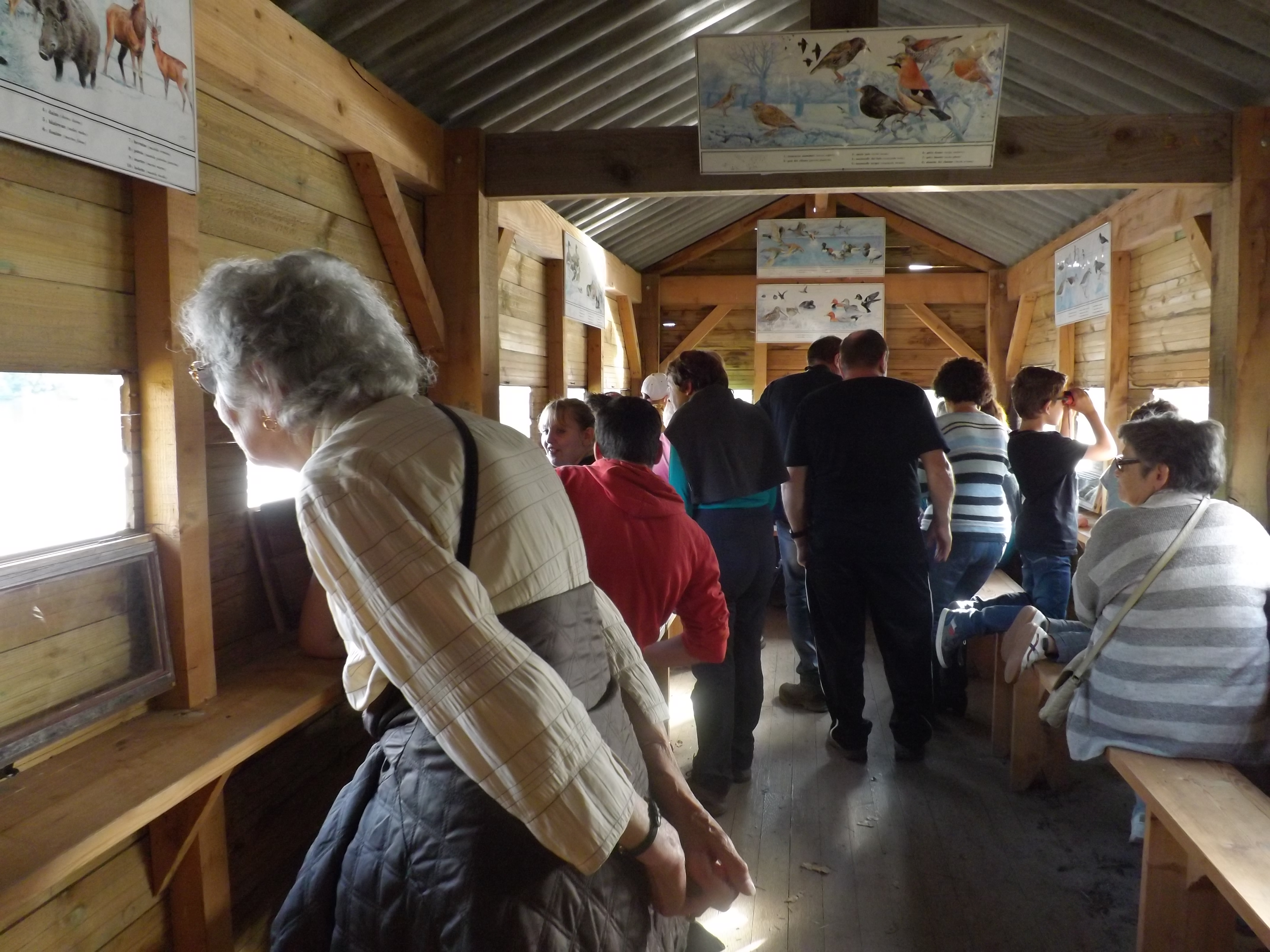 L'étang de Murat, observatoire ornithologique, Saint-Léger-Magnazeix - photo 3