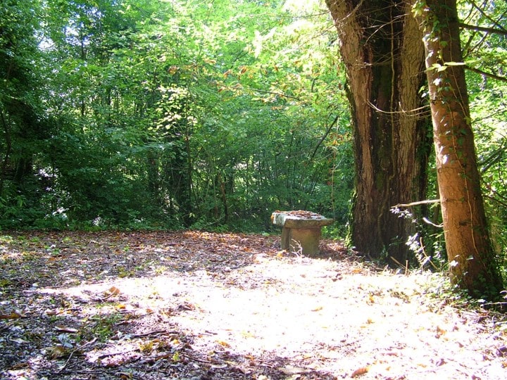 Parc paysager du château de Las-Croux, Cromac - photo 4