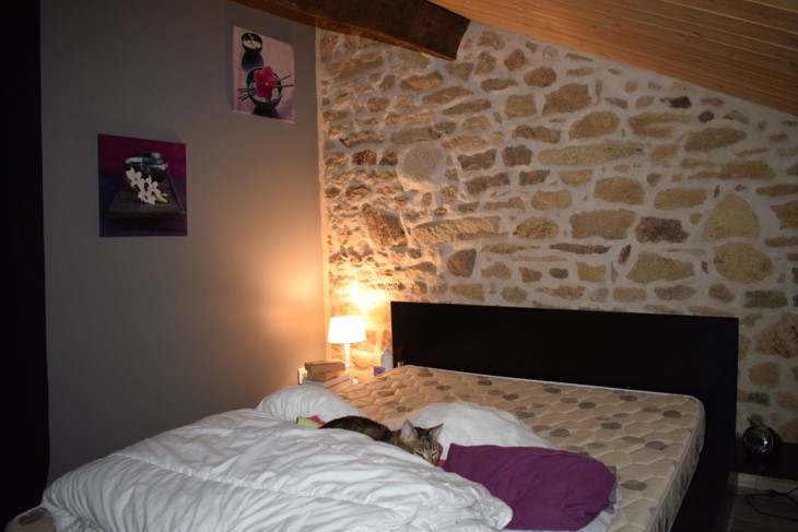 Le Piotaix, Saint-Junien-les-Combes - photo 6