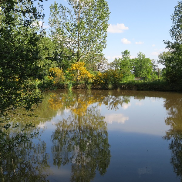 Sérénité Verte à la Tuilerie, La Bazeuge - photo 18