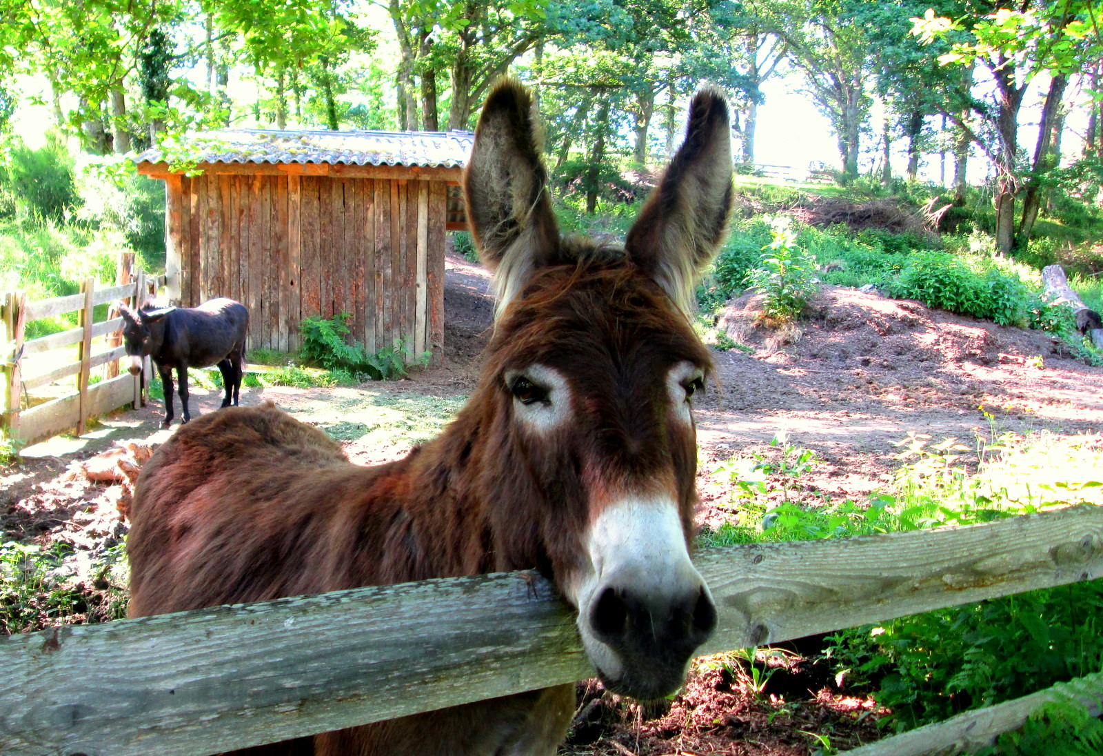 Le Moulin des Combes, Gîtes écodurables, Dompierre-les-Églises - photo 3
