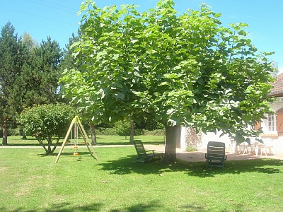 Le catalpa, Saint-Georges-les-Landes - photo 7