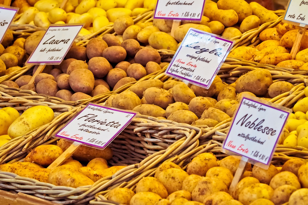 Pommes de terre - Variétés limousines
