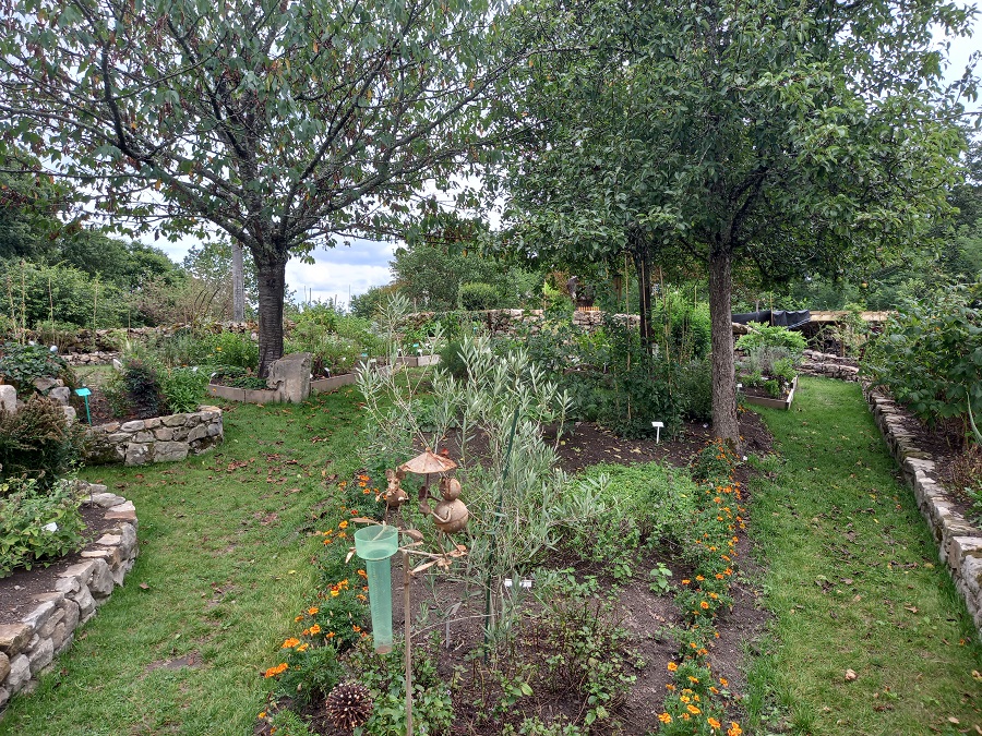 L'Or des Simples - Plantes aromatiques et médicinales, tisanes, hydrolats, encens, coulis, gelées et miels