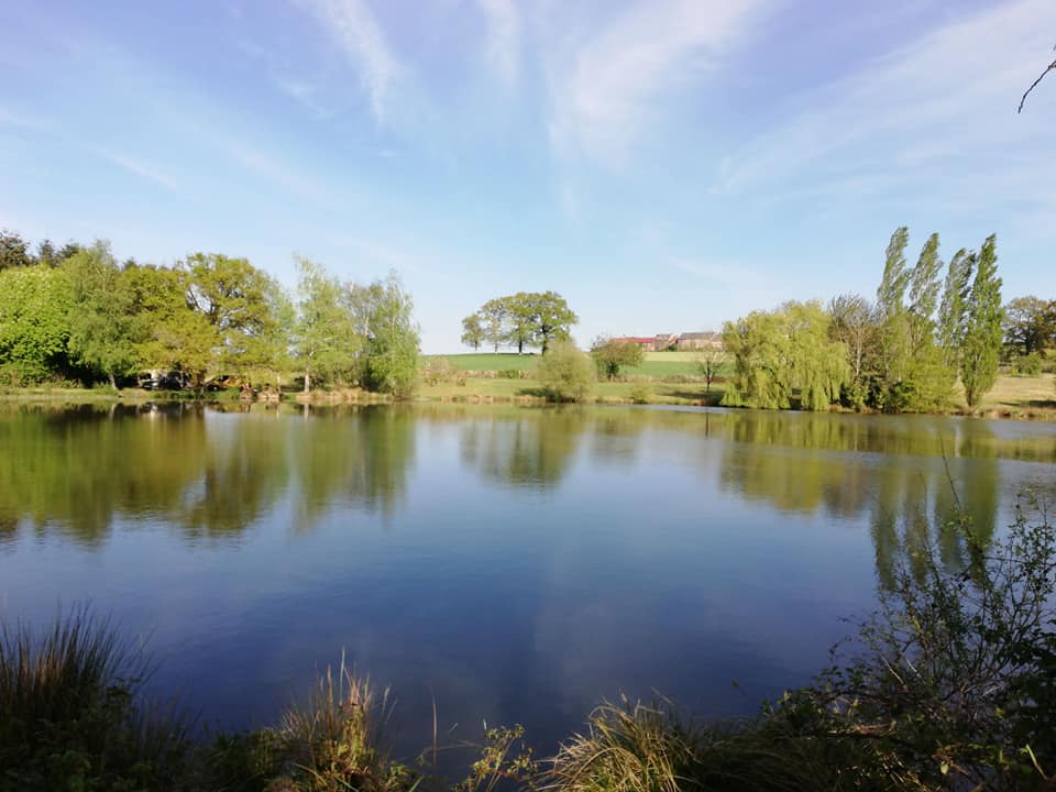 Le Relais, Arnac-la-Poste - photo 8