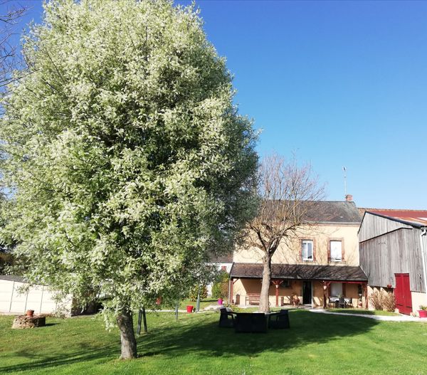 Le Relais, Arnac-la-Poste - photo 3