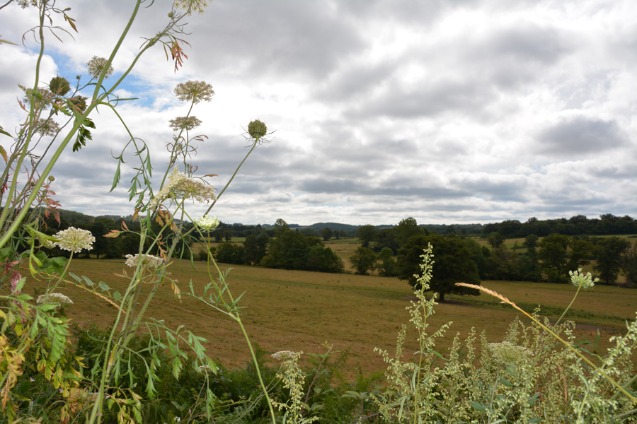 C3 circuit cyclo autour de Magnac-Laval et Saint-Sulpice-les-Feuilles, Magnac-Laval - photo 2