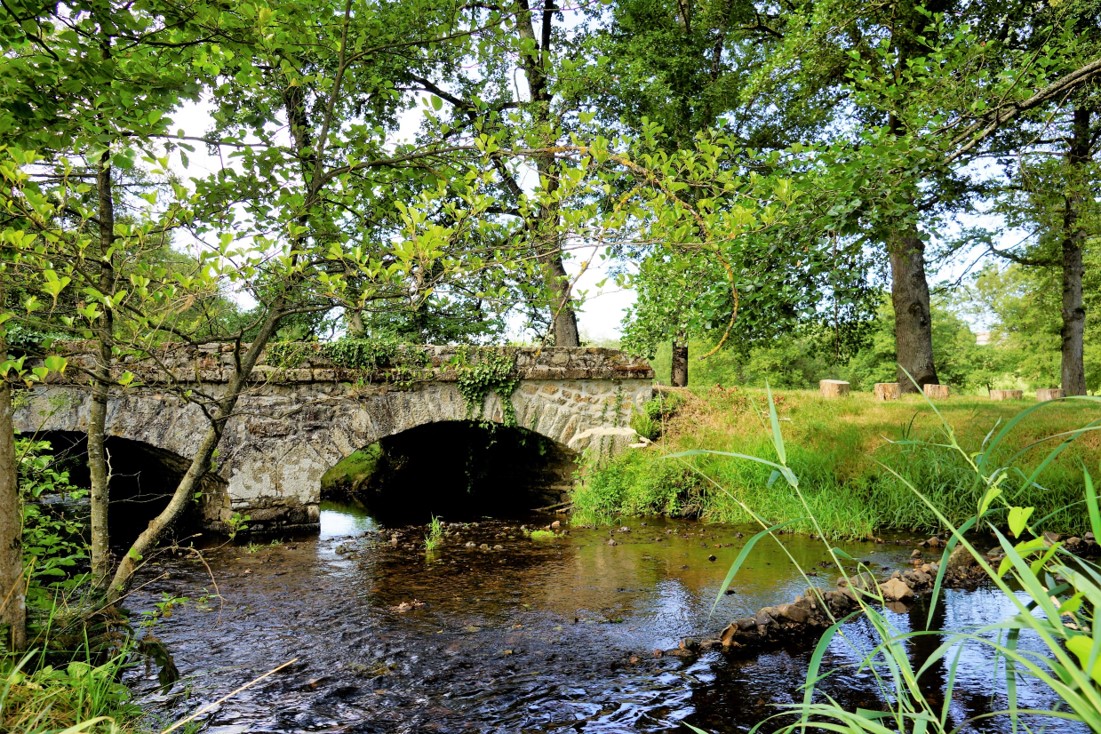 Gîte du Moulin Toucan, Berneuil - photo 10