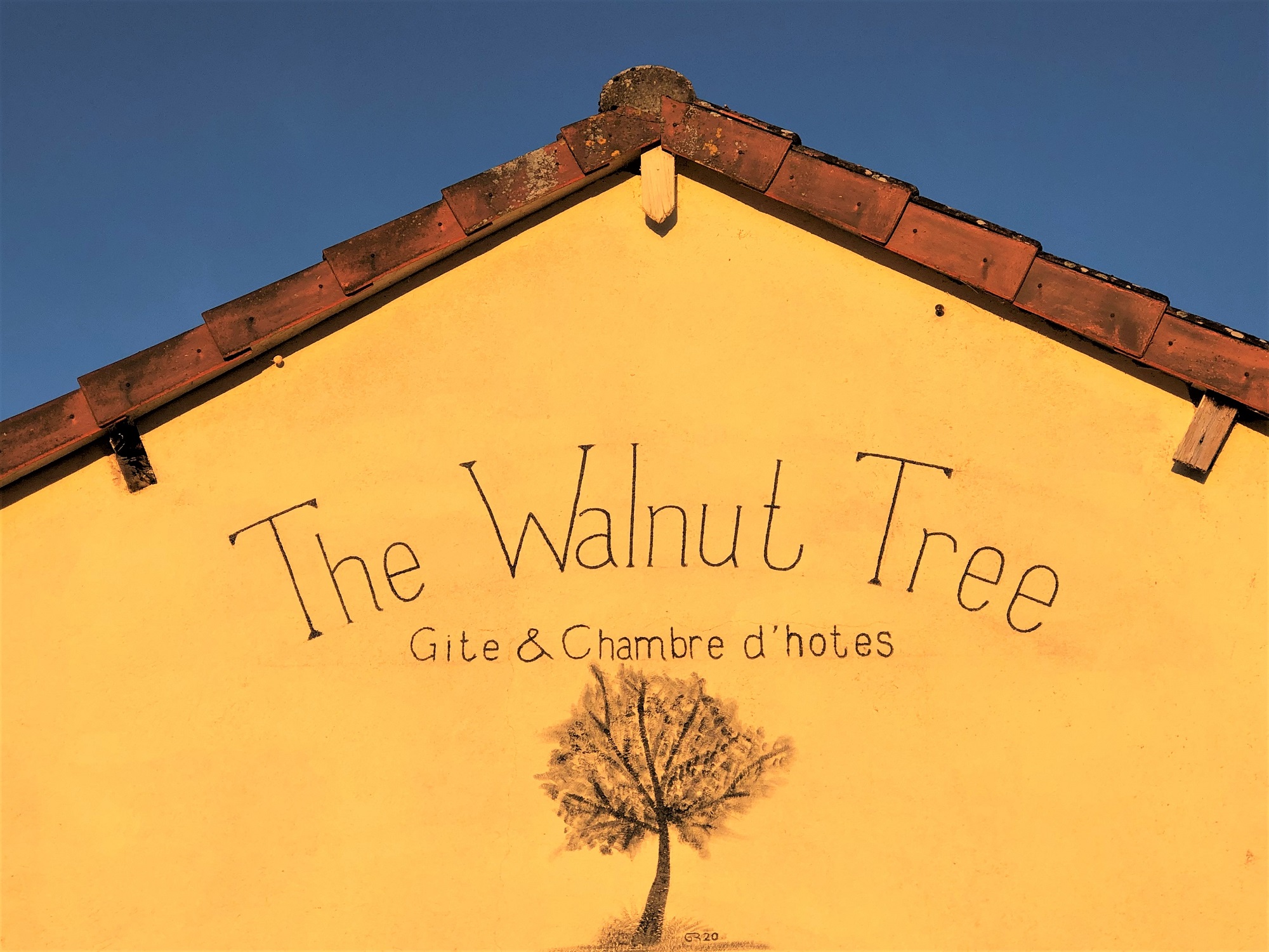 The walnut tree