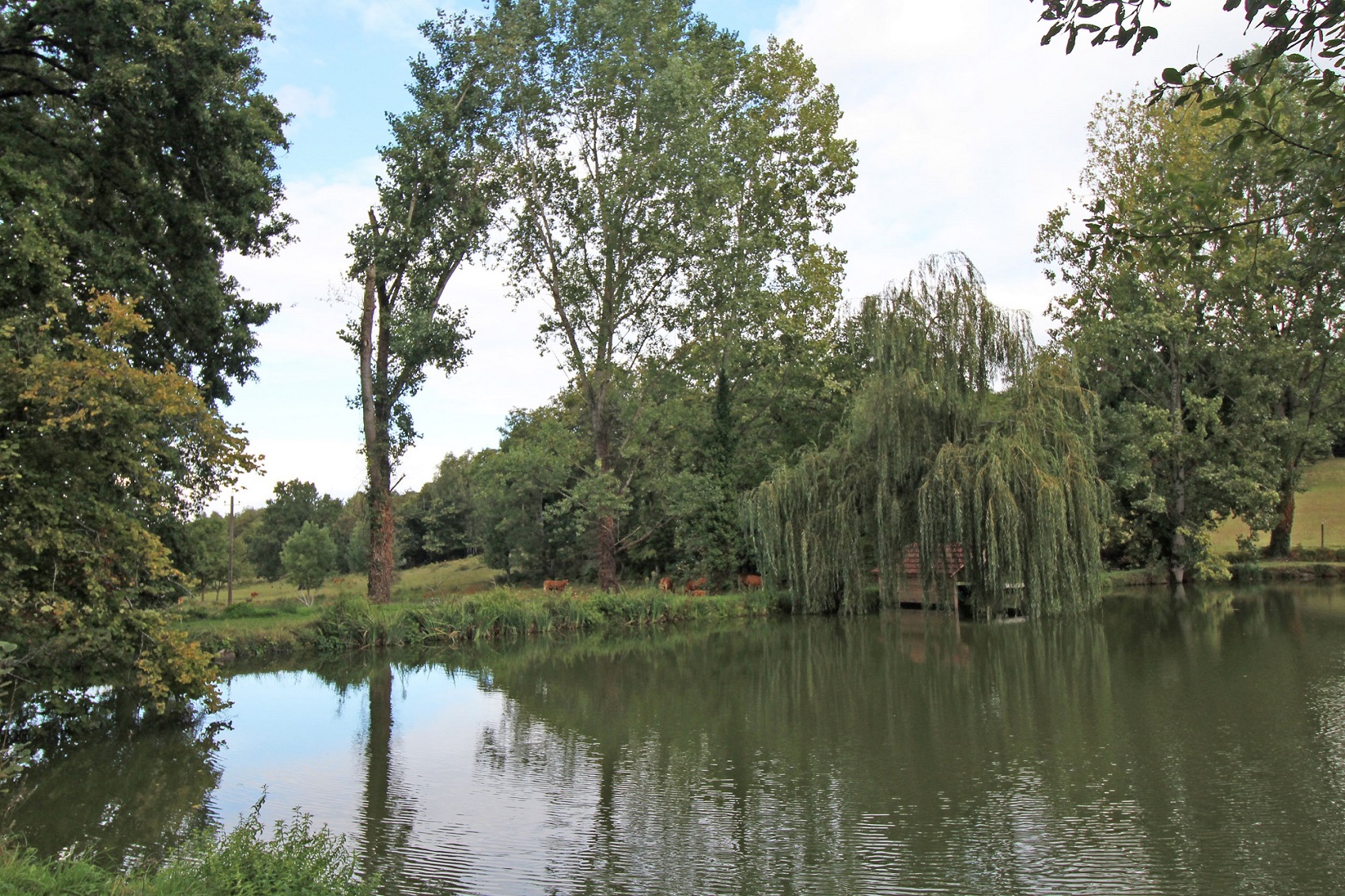 Le Gîte d'Au - photo 2