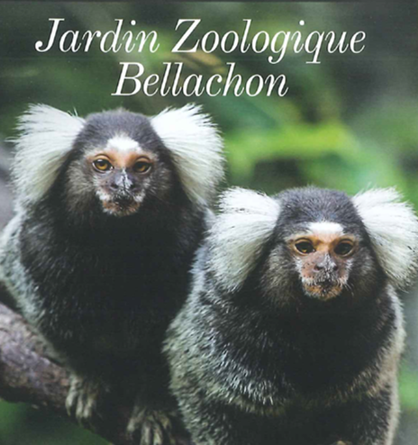 Jardin Zoologique Bellachon, Bellac