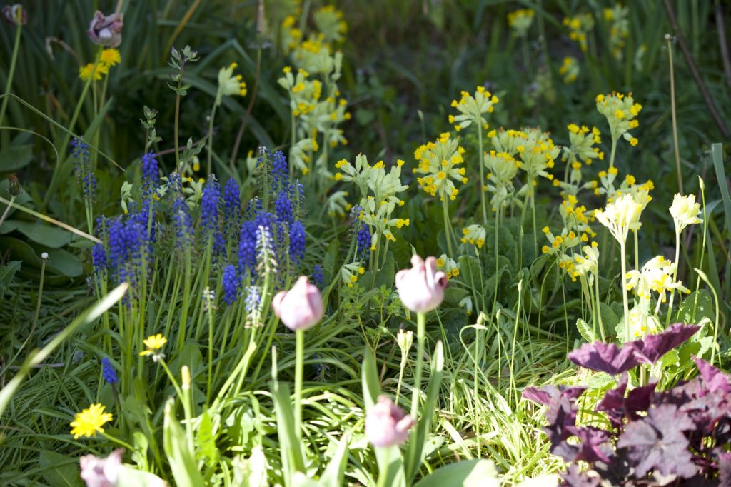 Les Lauriers, Peyrat-de-Bellac - photo 13