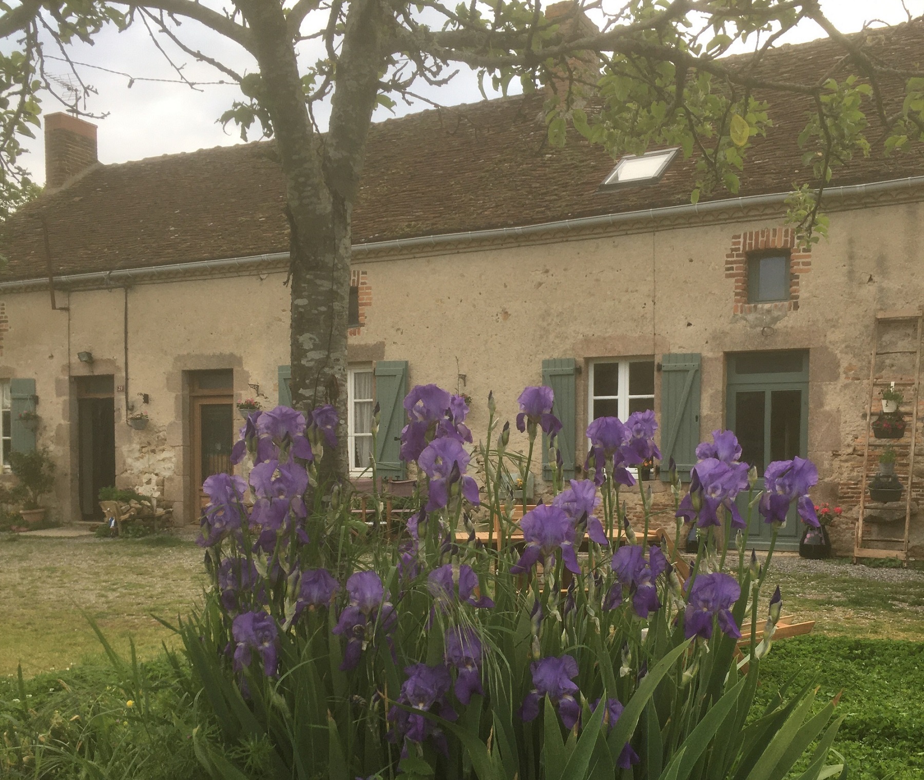 By the wayside, Lussac-les-Églises - photo 7