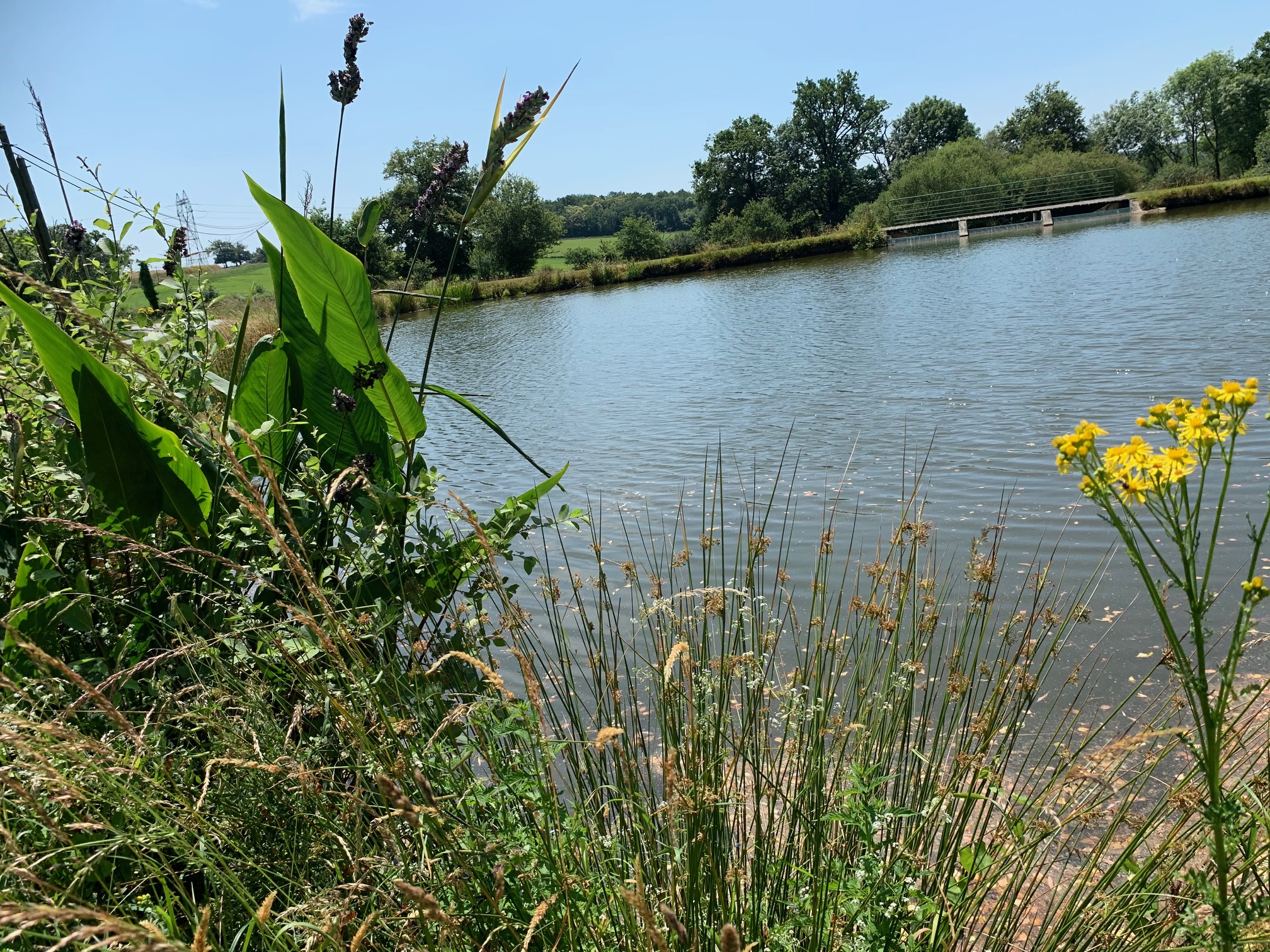 Aire de services Les Jonchères, Dompierre-les-Églises - photo 8