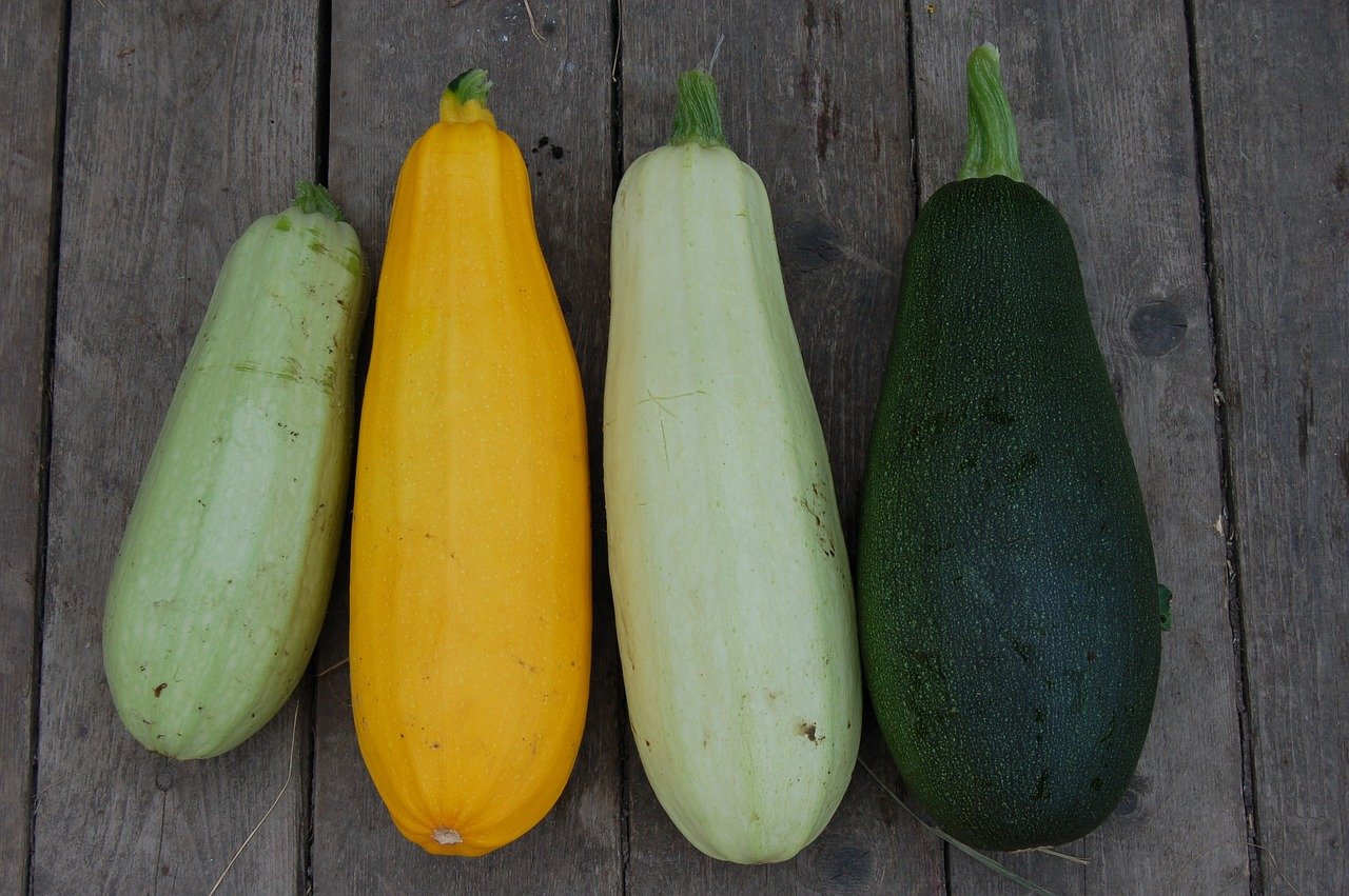 Légumes plein champ - Jean-Luc Mourgaud — photo 2