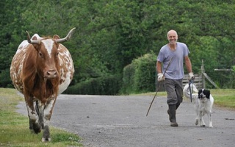 A la ferme aux cinq sens - Ferme traditionnelle - photo 2
