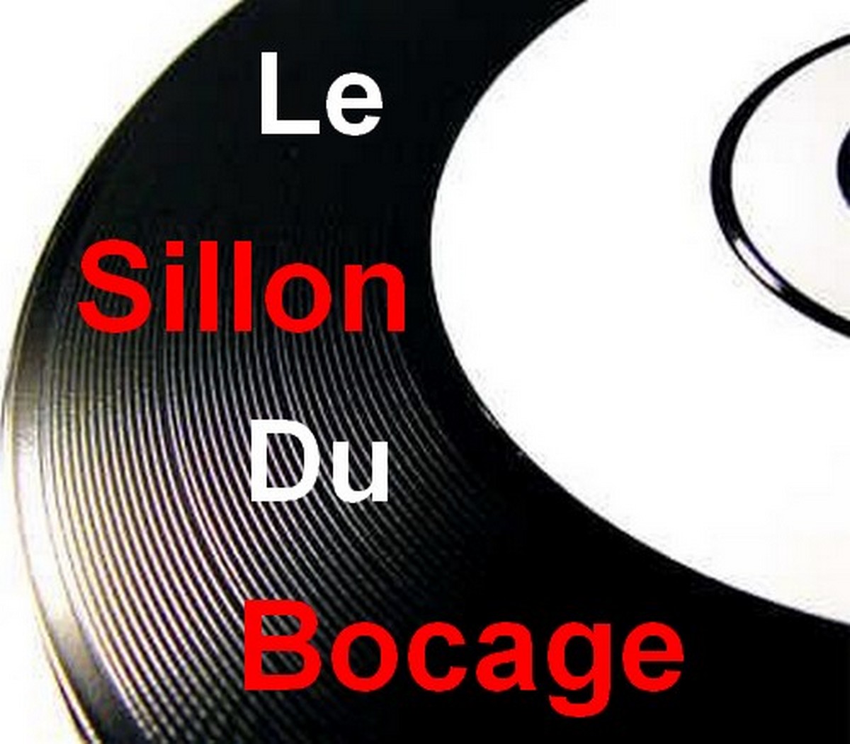 18 ème Salon du Disque - photo 2