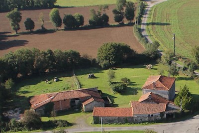 Chambre d'hôtes "Wisteria House - La Maison des Glycines" - photo 2