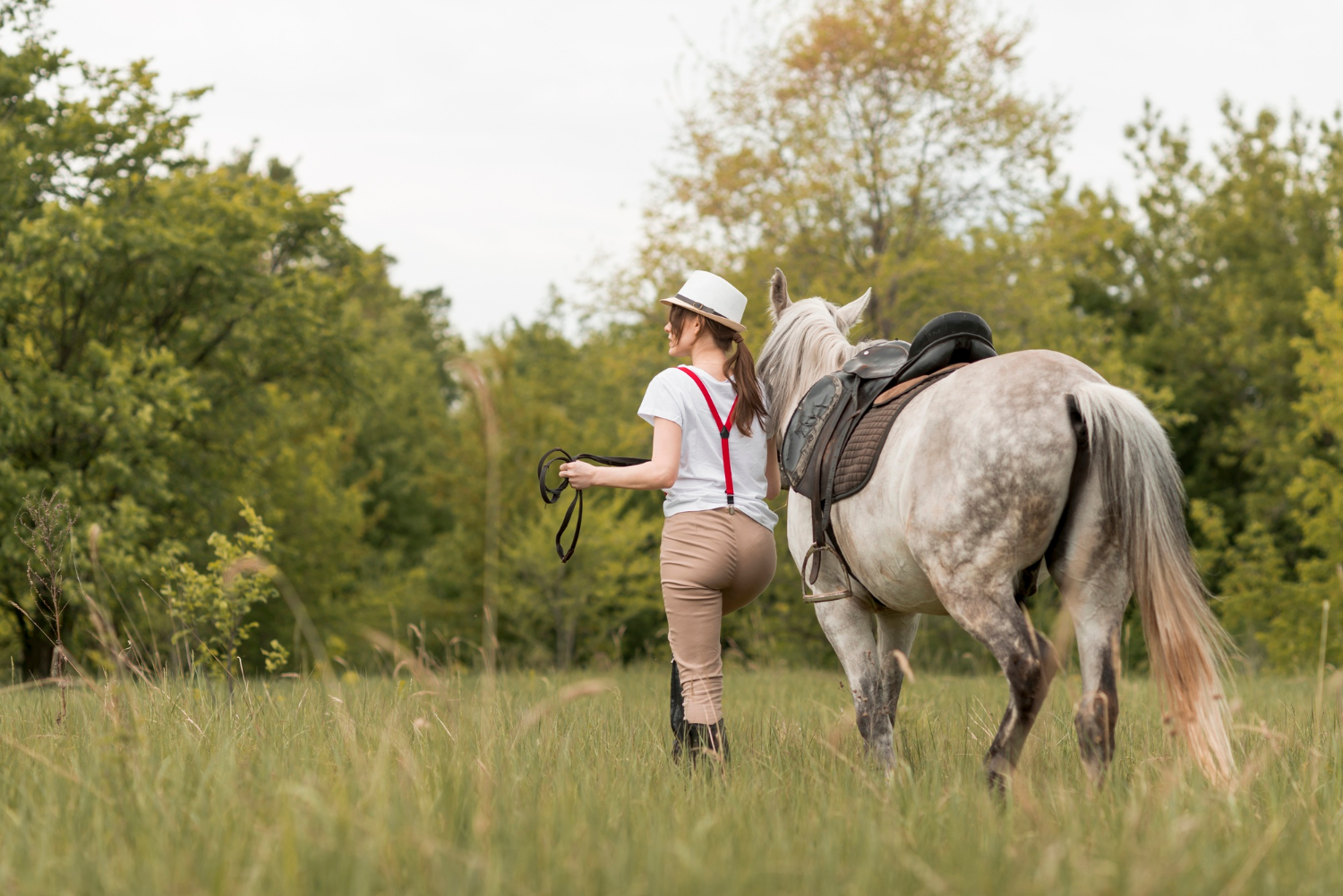 Fête du Cheval de Saillat-sur-Vienne — visuel événement