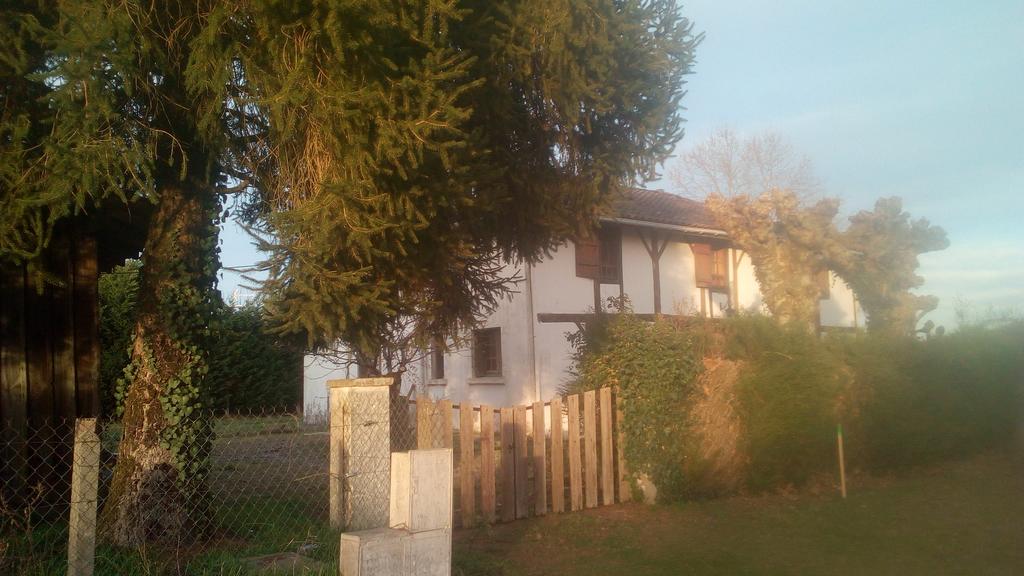 Clos du Carriou, Lesgor - photo 14