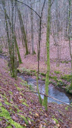 Boucle équestre du Château de la Chapoulie à Peyrignac, Le Lardin-Saint-Lazare