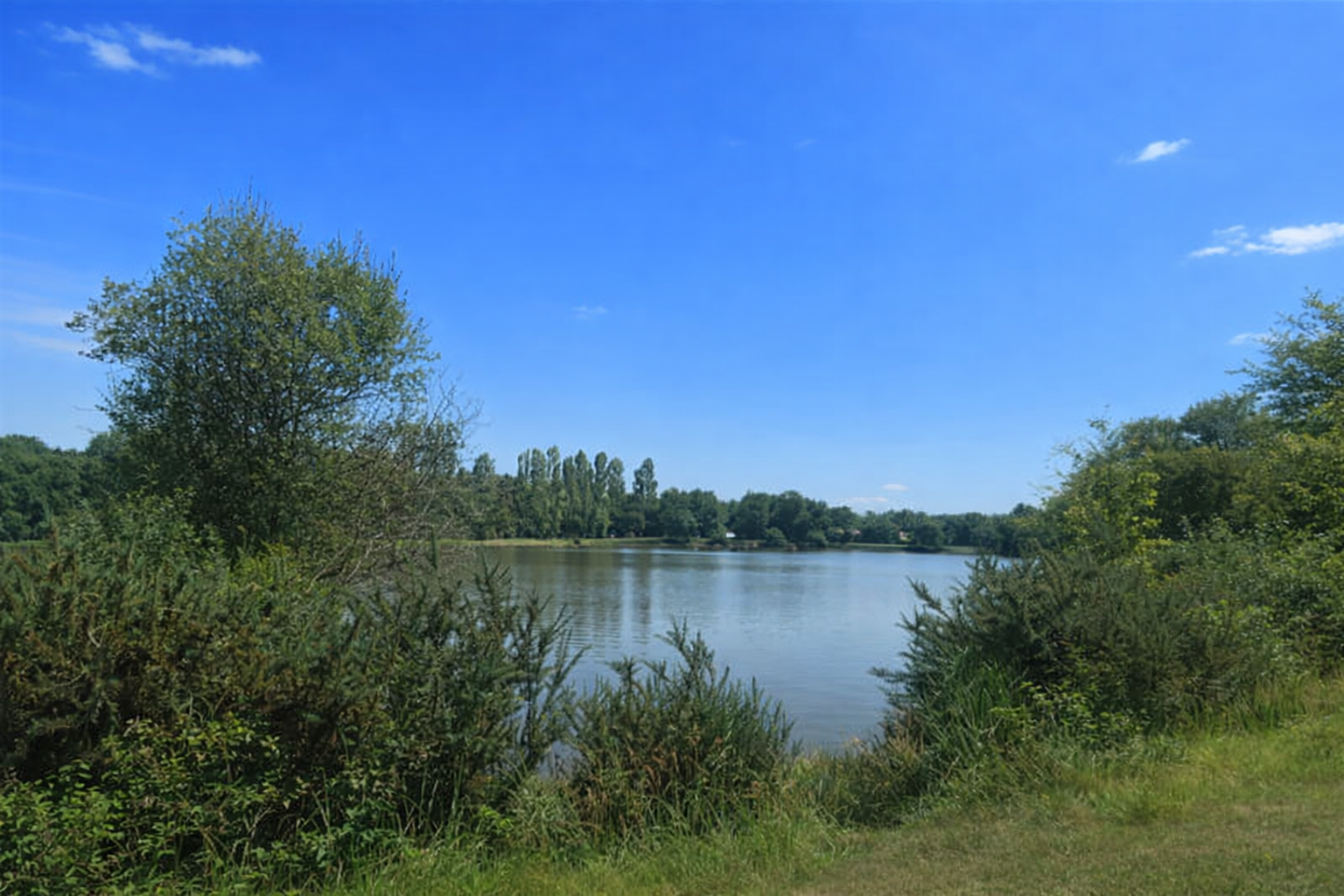 Etang d'Enjouran (Tessonnière), Airvault - photo 5