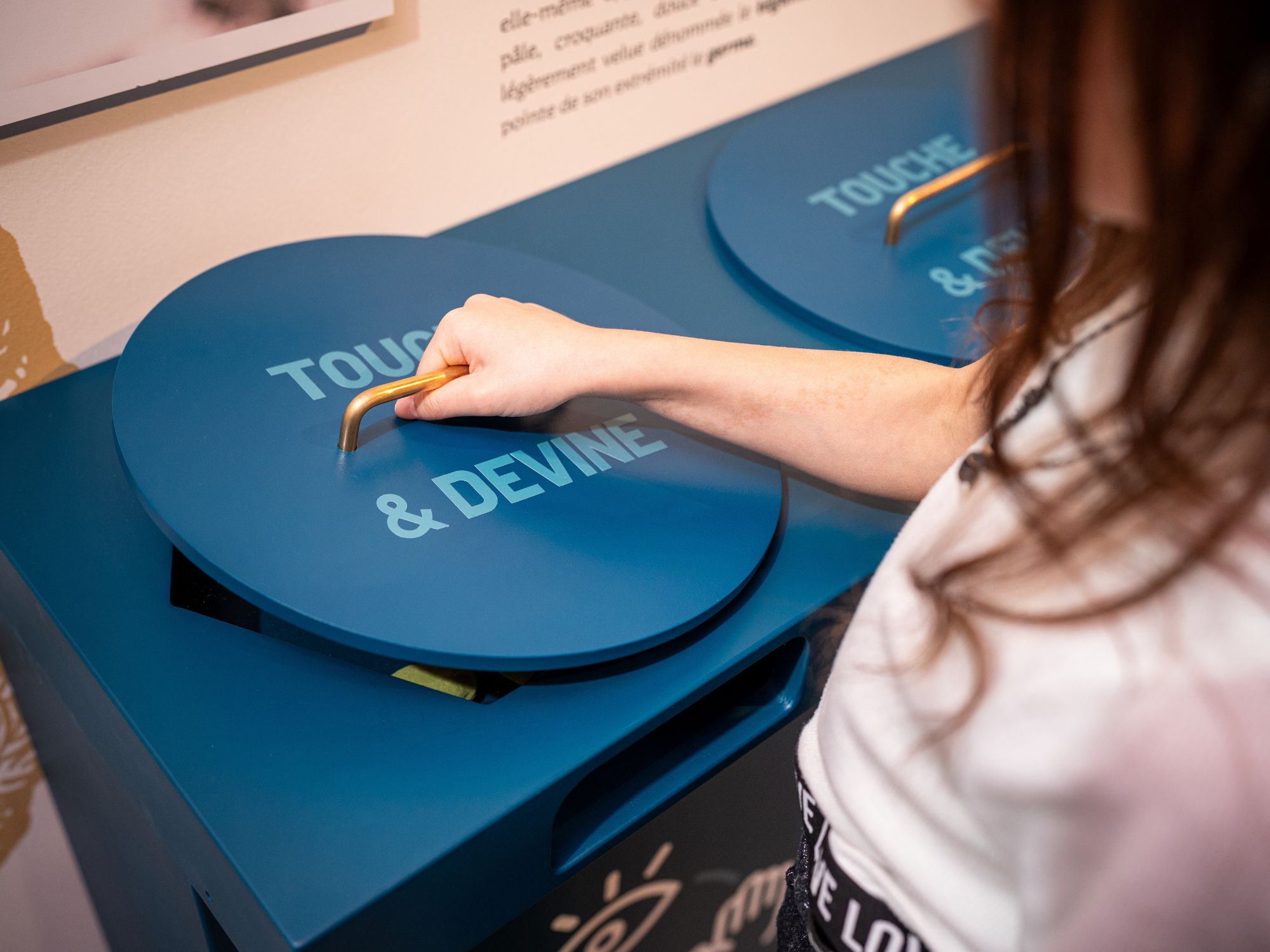 Musée de l’Amande et du Macaron, Montmorillon - photo 8