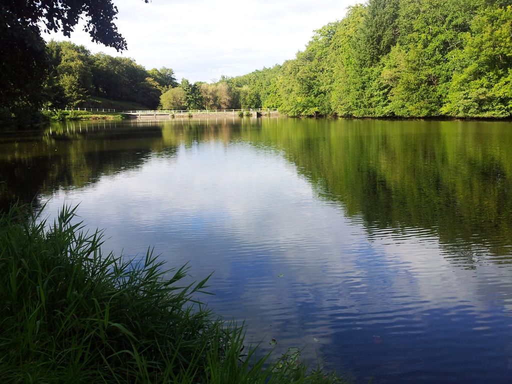 Plan d'eau de la gane