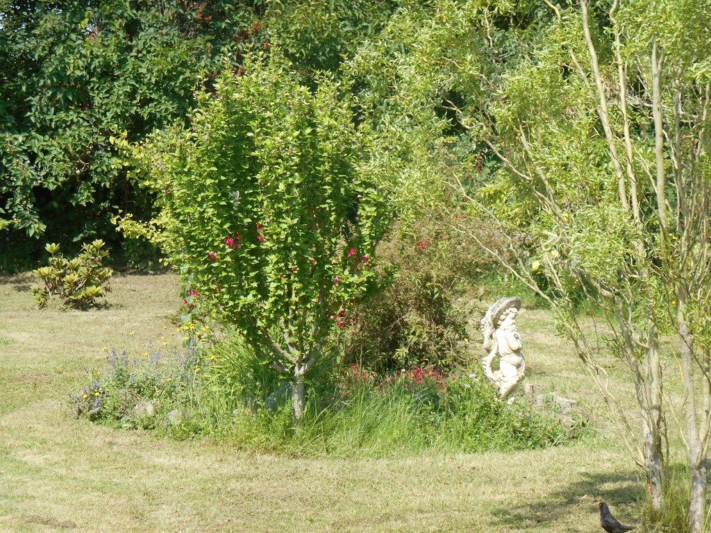 Meublé de Mme Régine PLAS