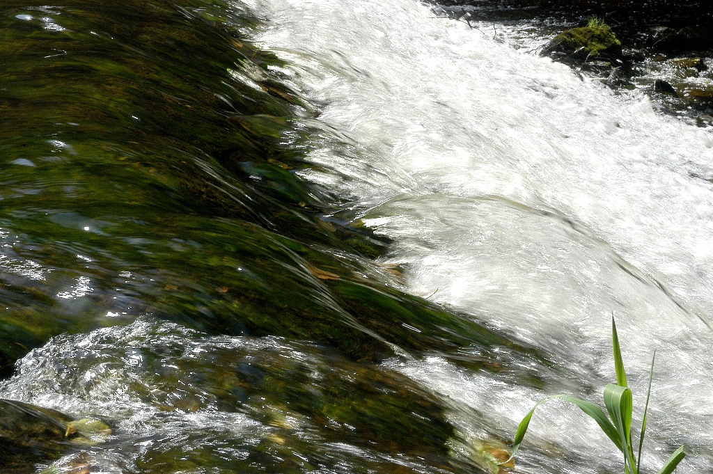 Le moulin de farouille