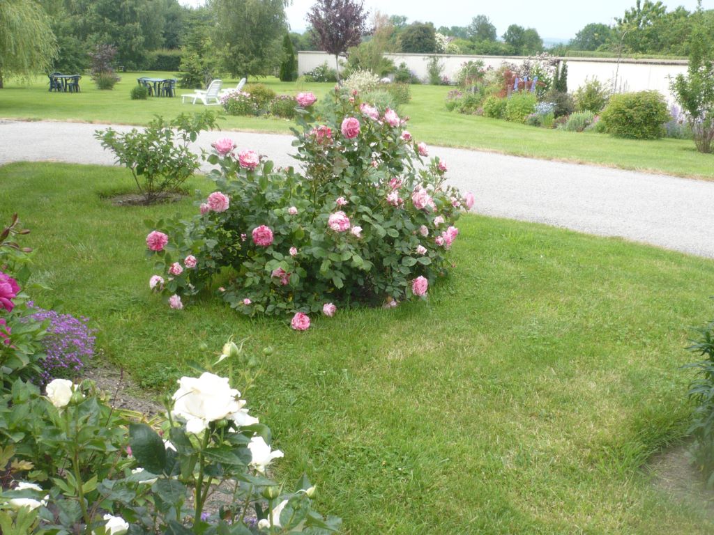 Location de Eric ASSISE - Appartement 4