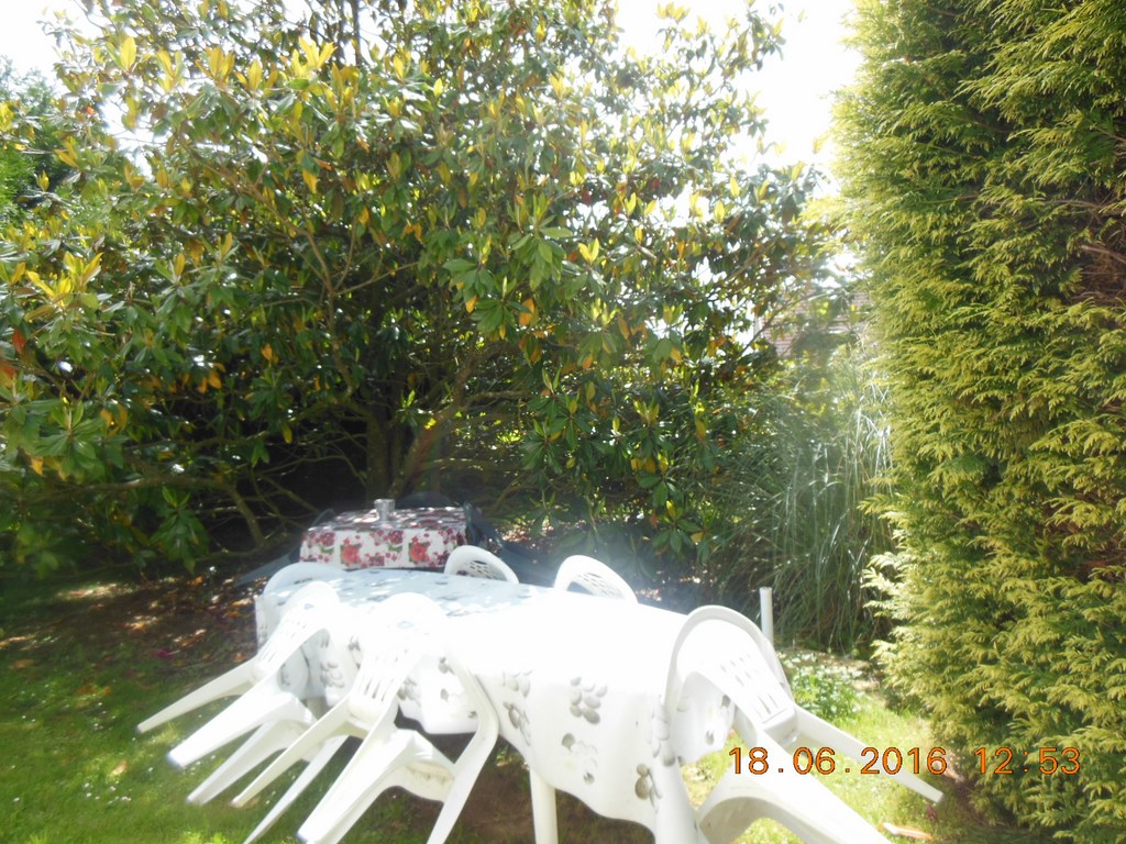 Location de Mme Garret - photo 3