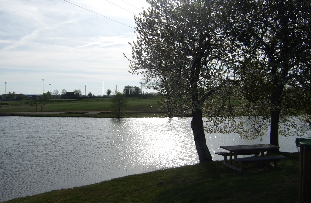 Aire de pique nique au bord de l'étang - photo 2