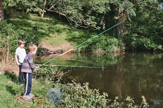 La Ferme de Drouillas - 2/5 pers - Gîte Accueil Paysan, Vigeville - photo 2