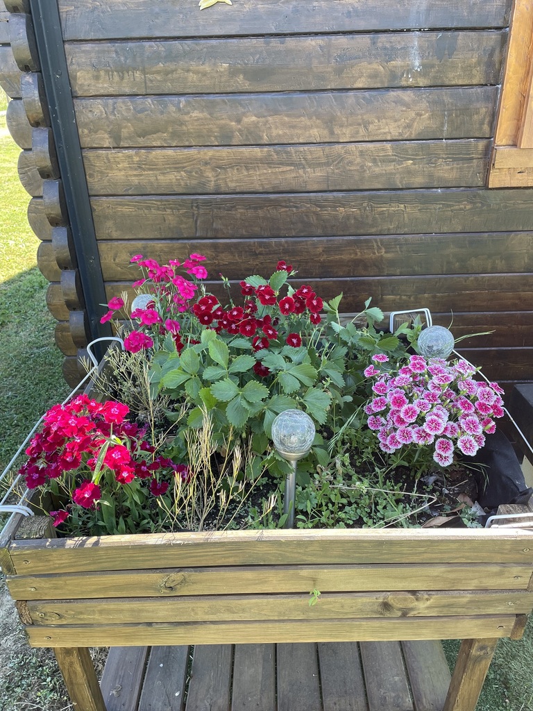 Le Petit Chalet de Sylviane, Budelière - photo 11